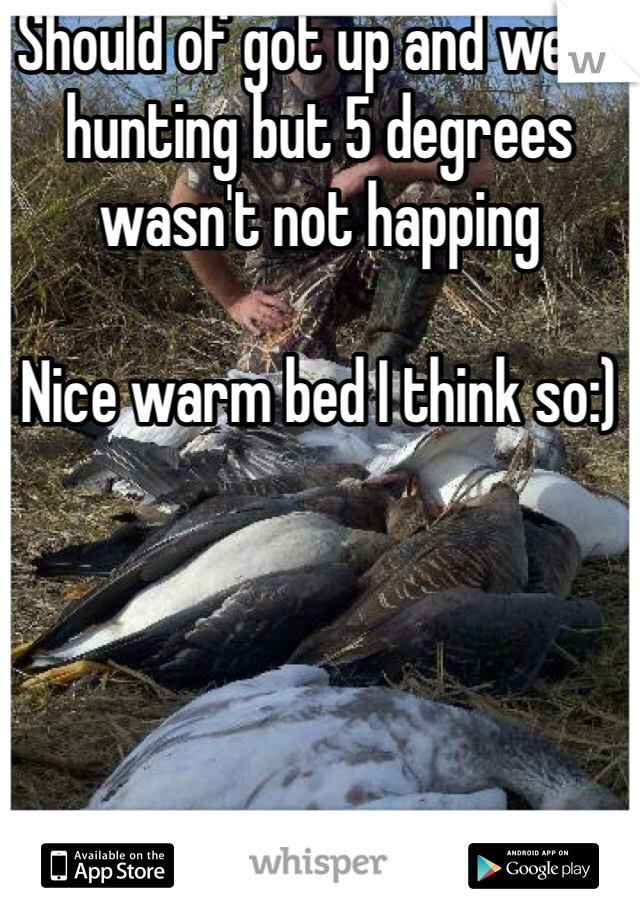 Should of got up and went hunting but 5 degrees wasn't not happing 

Nice warm bed I think so:)
 