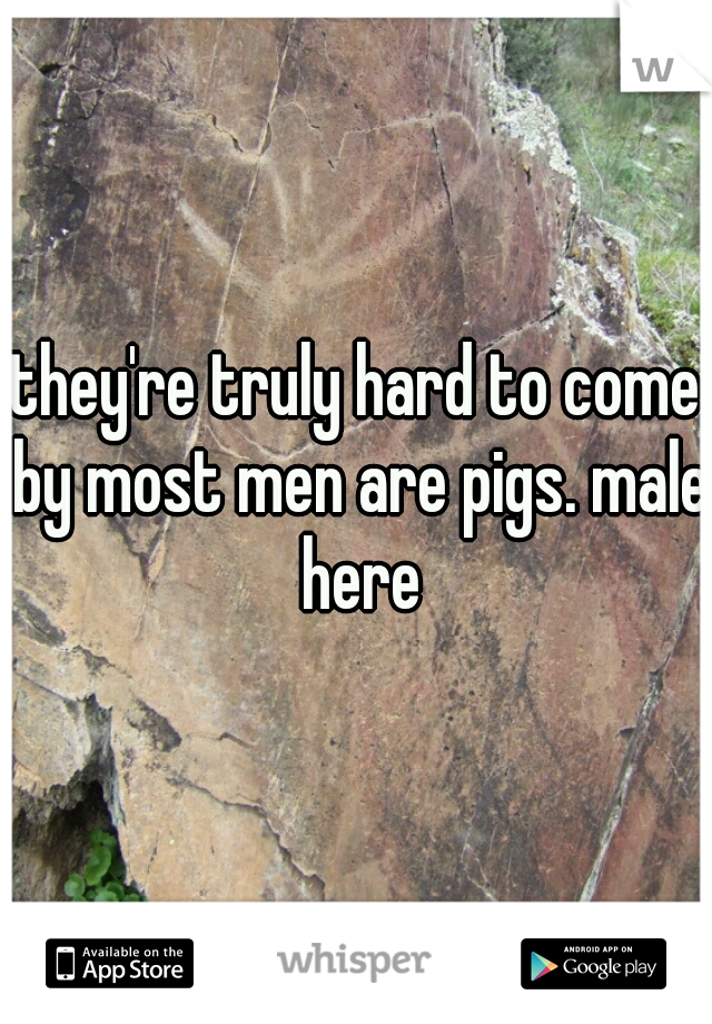 they're truly hard to come by most men are pigs. male here