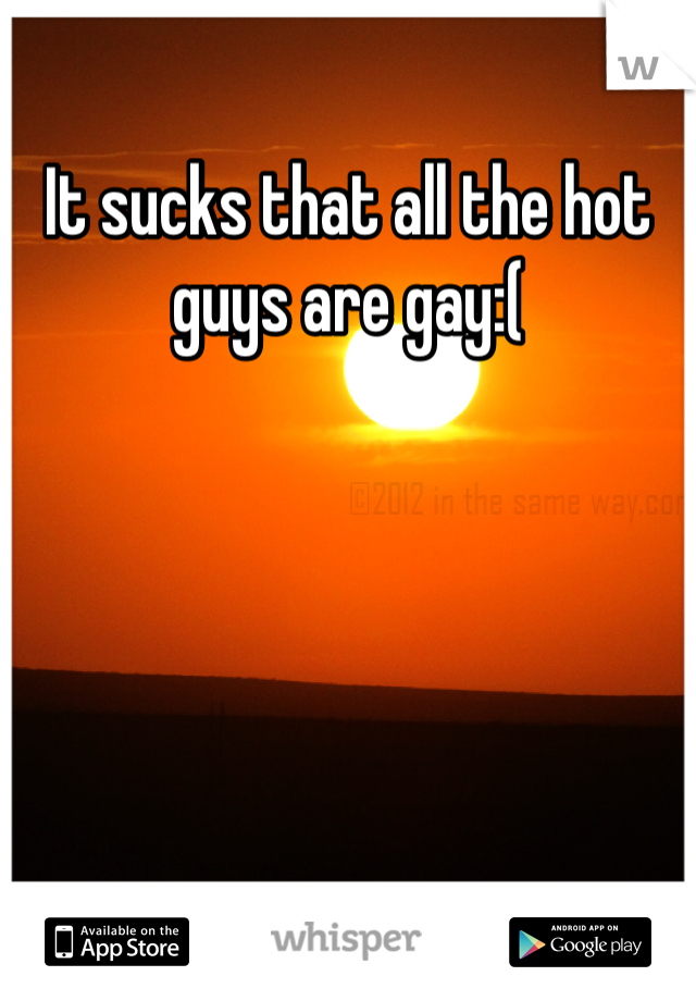 It sucks that all the hot guys are gay:(