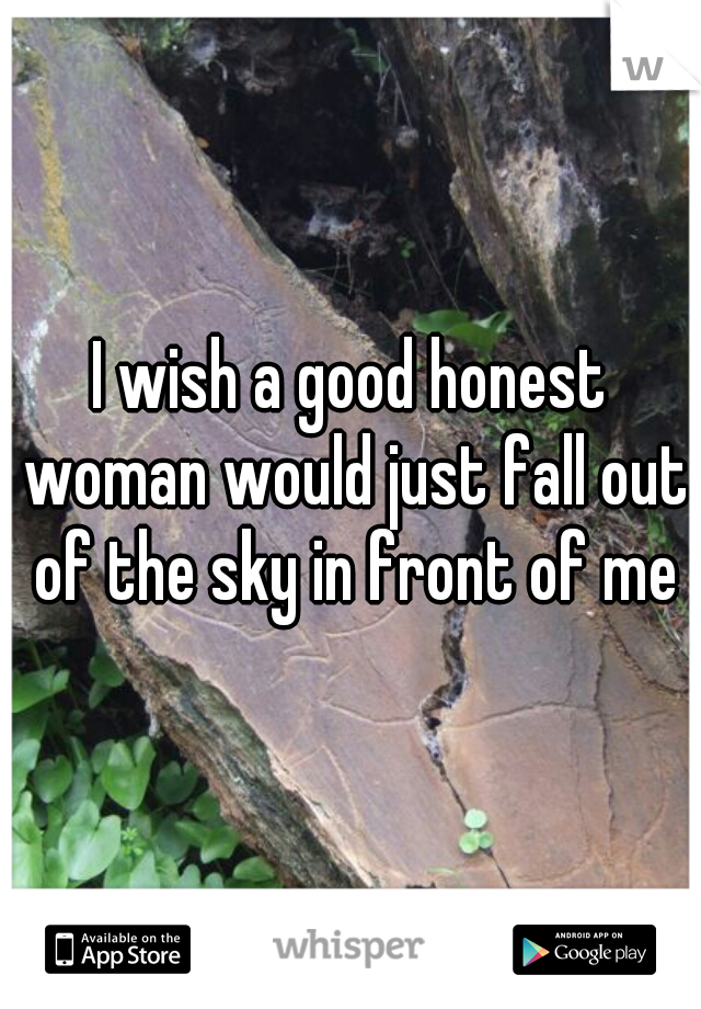 I wish a good honest woman would just fall out of the sky in front of me