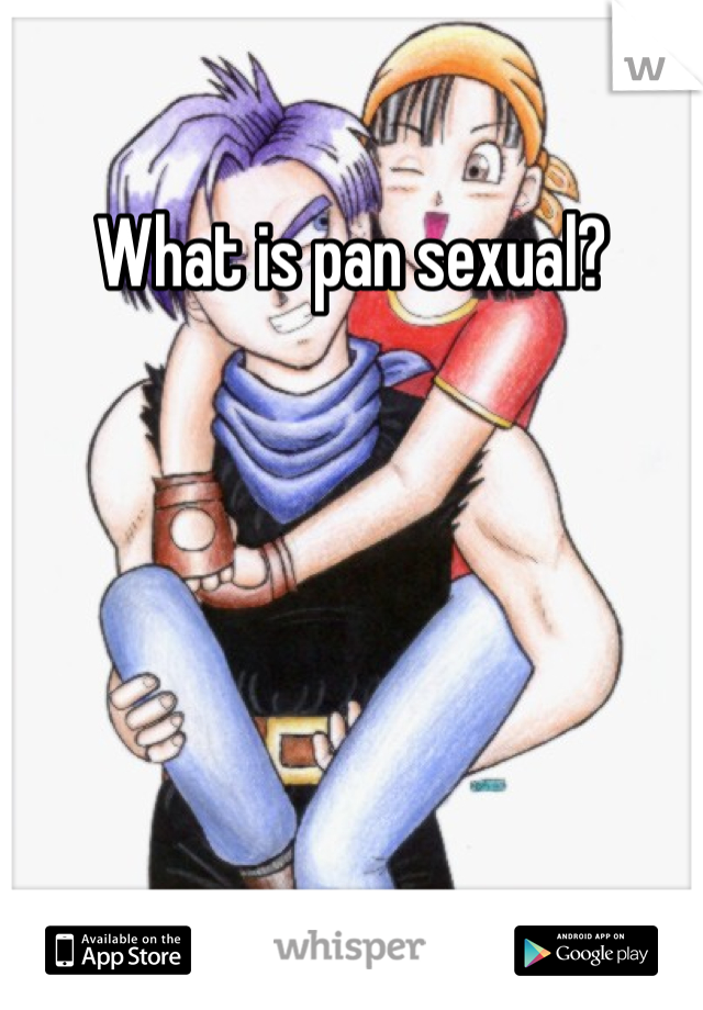 What is pan sexual?