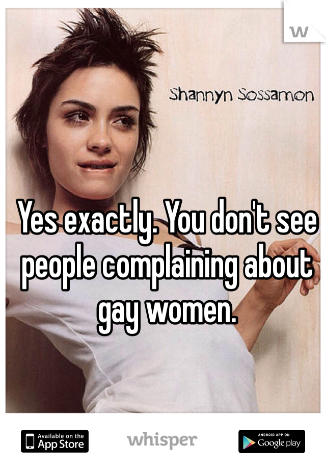 Yes exactly. You don't see people complaining about gay women. 