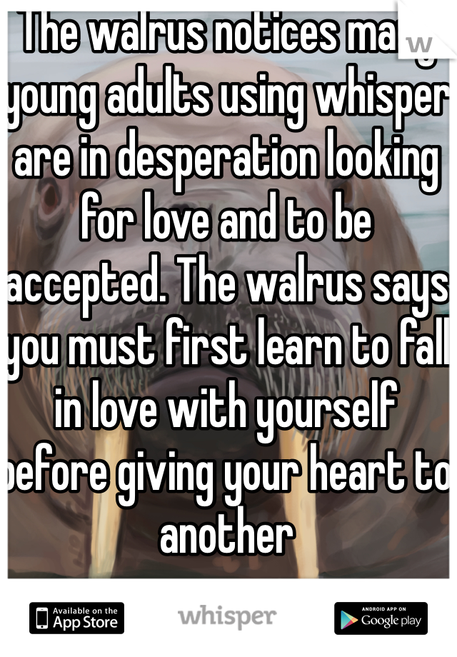 The walrus notices many young adults using whisper are in desperation looking for love and to be accepted. The walrus says you must first learn to fall in love with yourself before giving your heart to another
