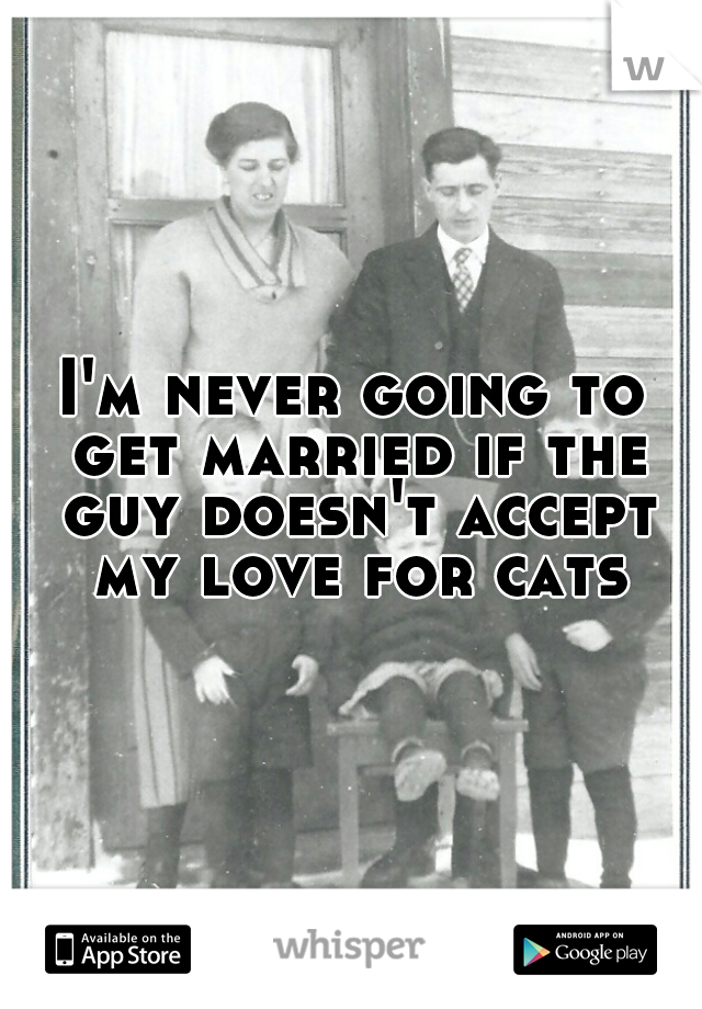 I'm never going to get married if the guy doesn't accept my love for cats