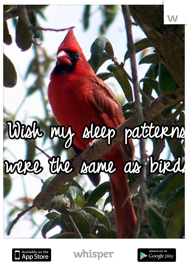 Wish my sleep patterns were the same as birds