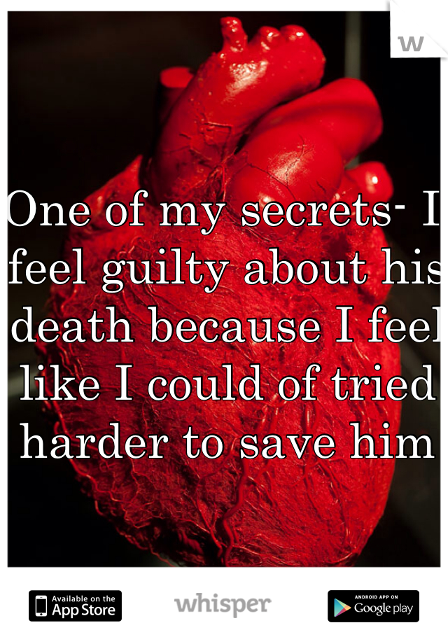 One of my secrets- I feel guilty about his death because I feel like I could of tried harder to save him
