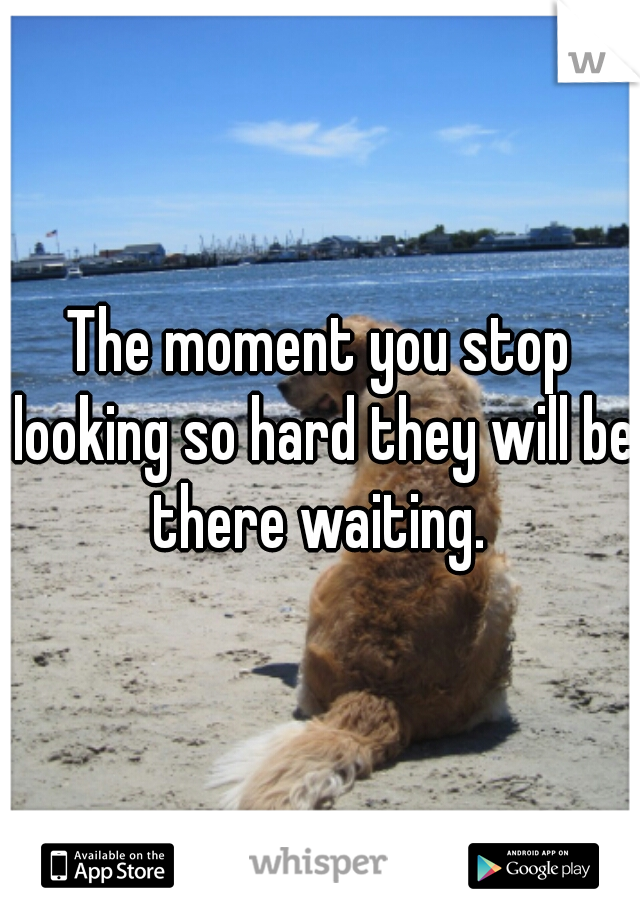 The moment you stop looking so hard they will be there waiting. 