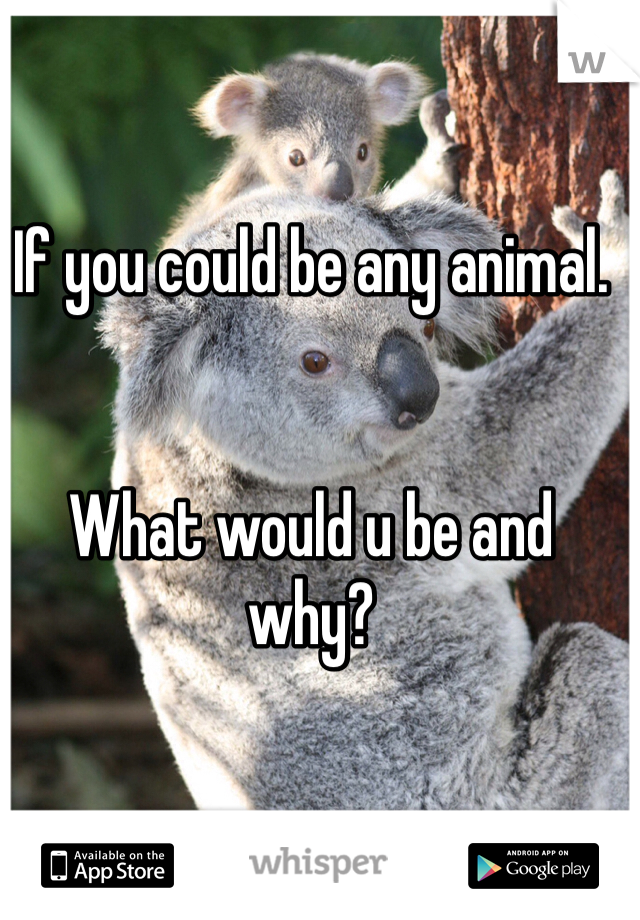 If you could be any animal.


What would u be and why?