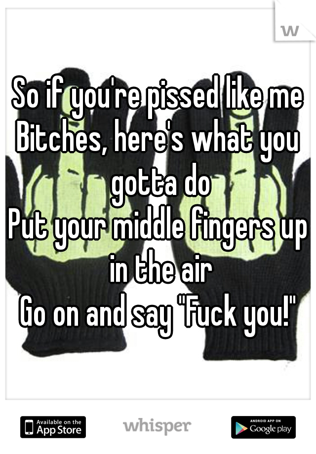 So if you're pissed like me
Bitches, here's what you gotta do
Put your middle fingers up in the air
Go on and say "Fuck you!"