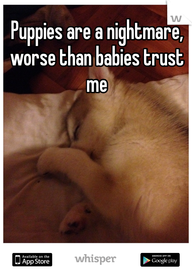 Puppies are a nightmare, worse than babies trust me 