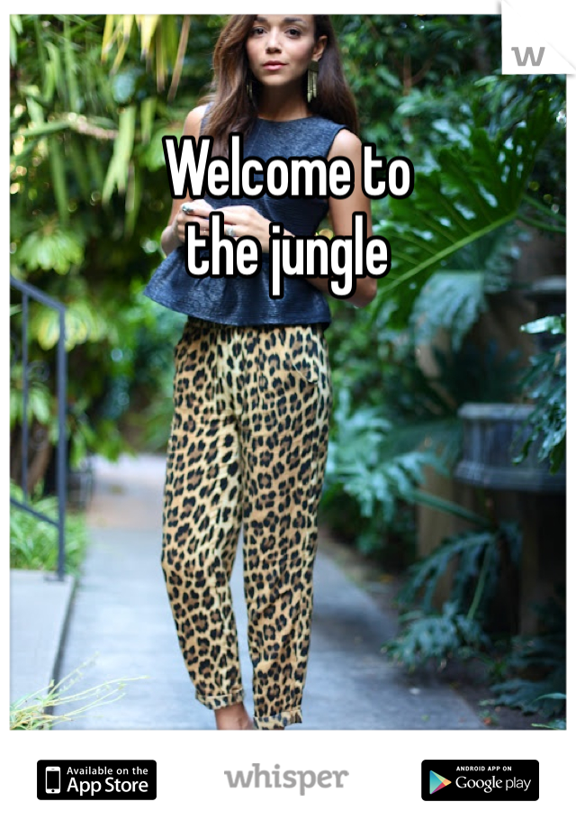 Welcome to
the jungle