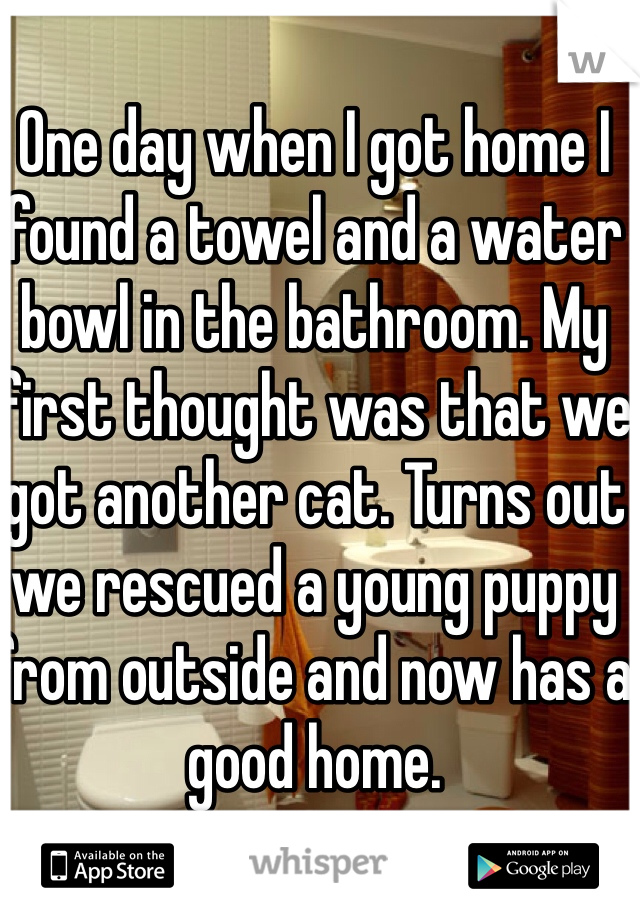 One day when I got home I found a towel and a water bowl in the bathroom. My first thought was that we got another cat. Turns out we rescued a young puppy from outside and now has a good home. 