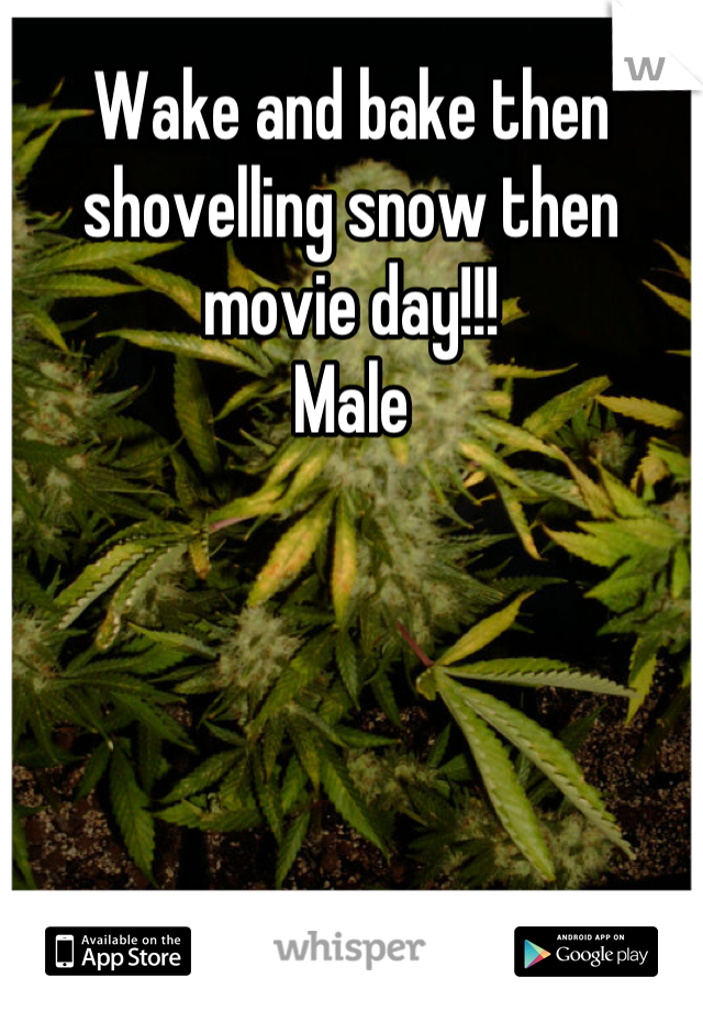 Wake and bake then shovelling snow then movie day!!! 
Male