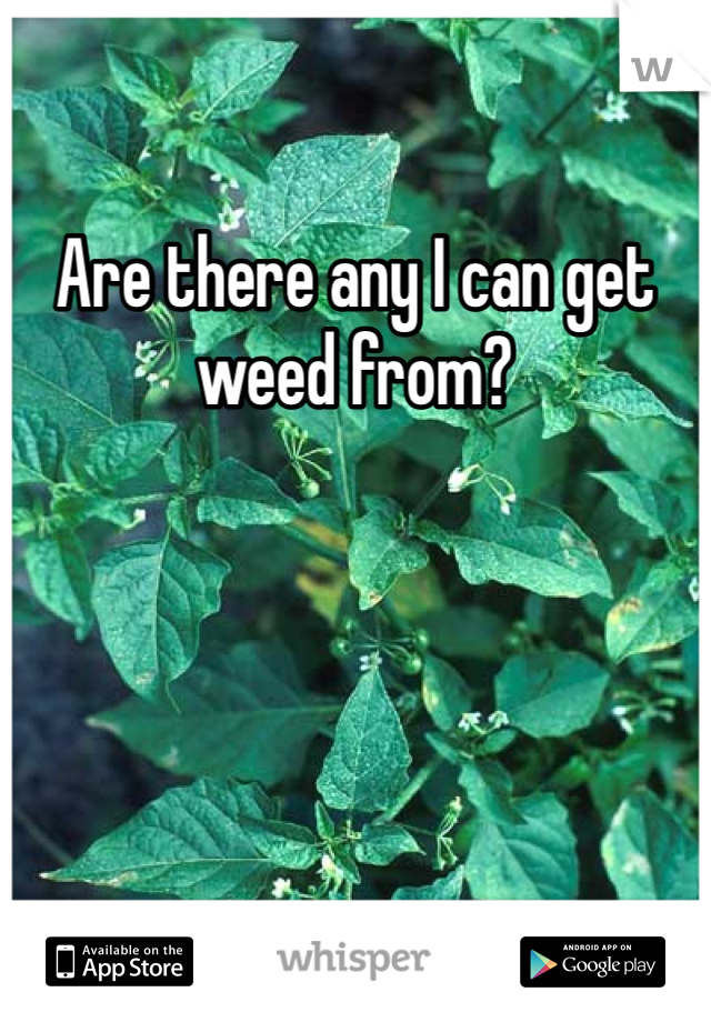 Are there any I can get weed from?