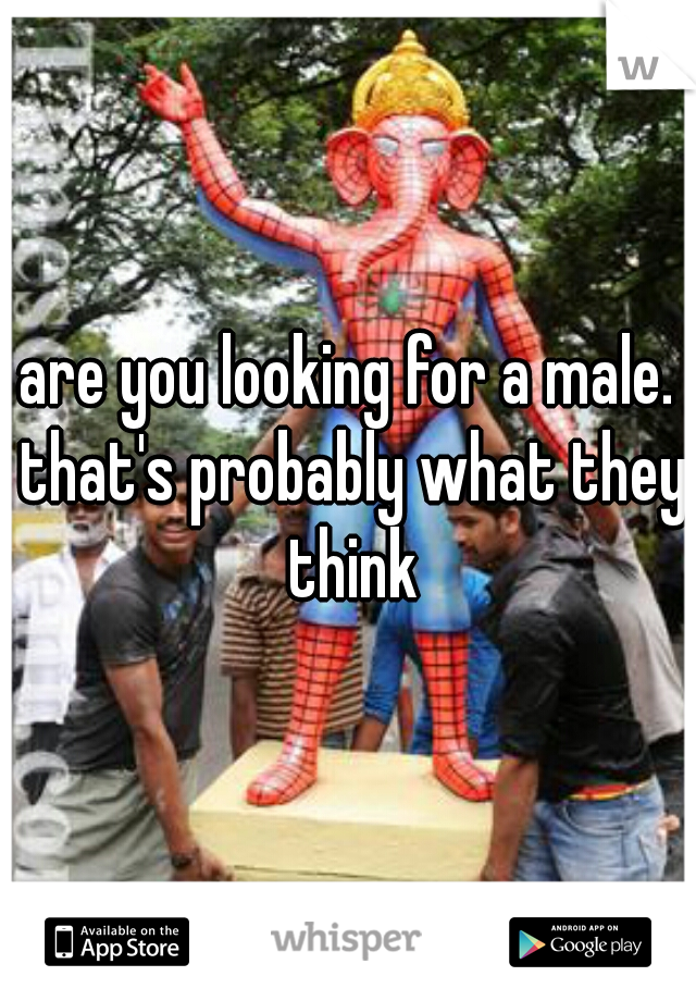 are you looking for a male. that's probably what they think