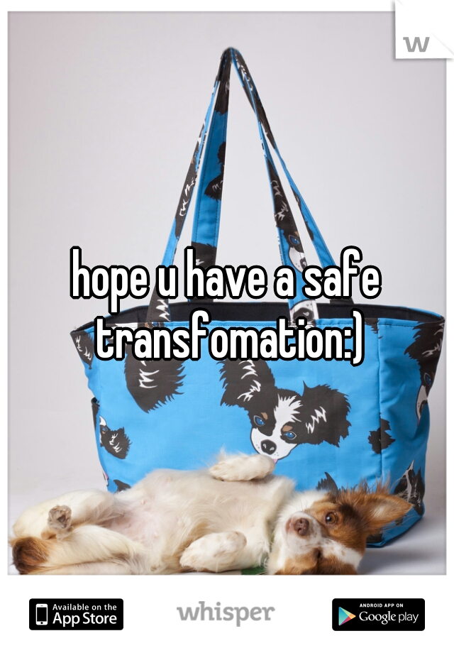 hope u have a safe transfomation:)