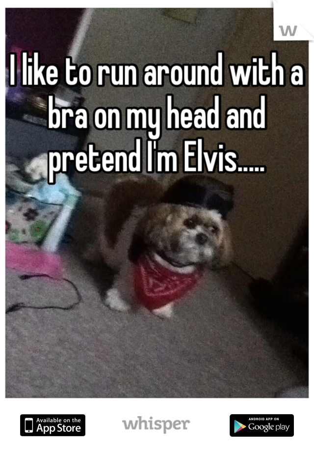 I like to run around with a bra on my head and pretend I'm Elvis..... 