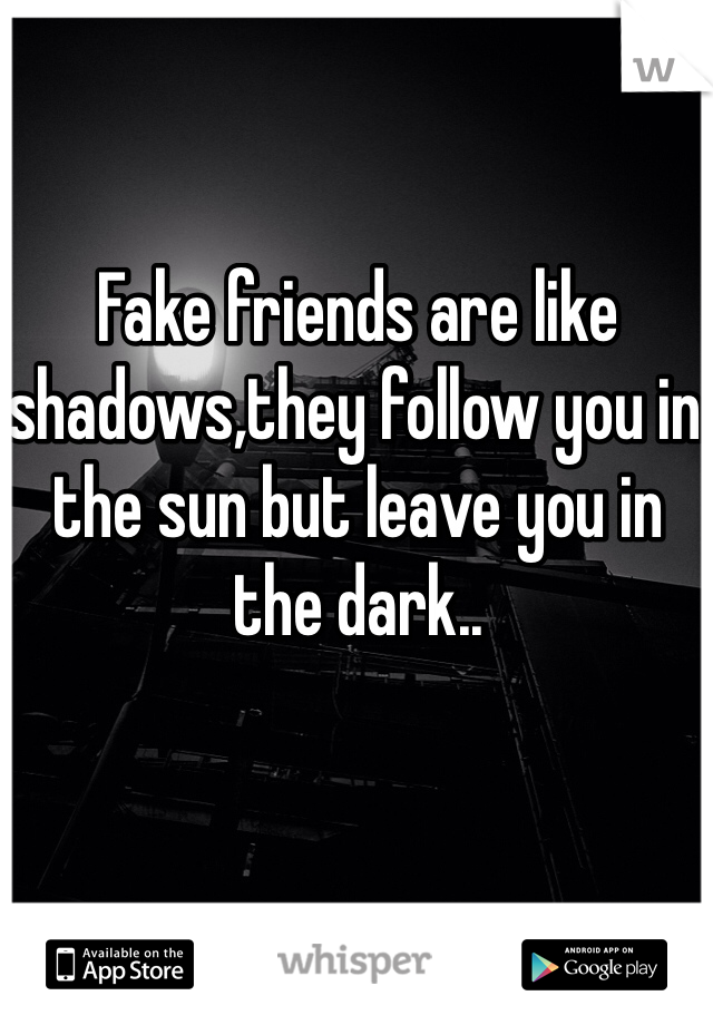 Fake friends are like shadows,they follow you in the sun but leave you in the dark..