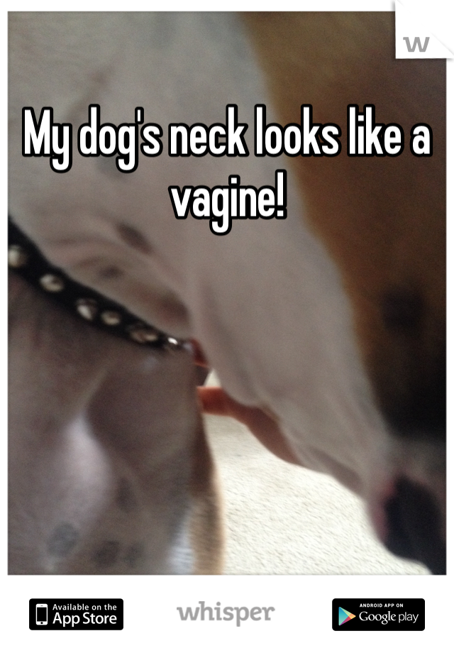 My dog's neck looks like a vagine!