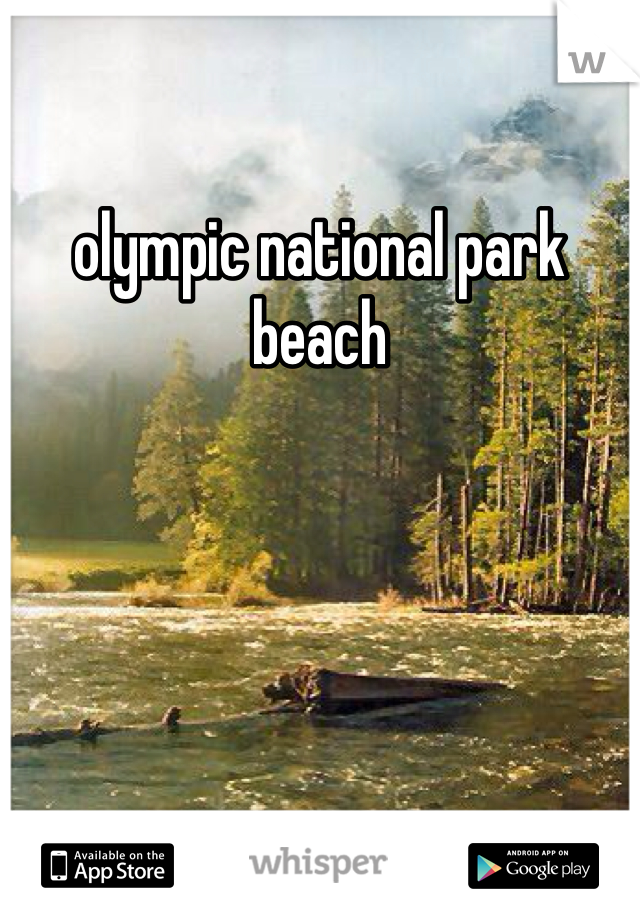 olympic national park beach