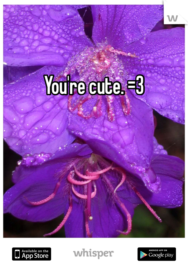 You're cute. =3