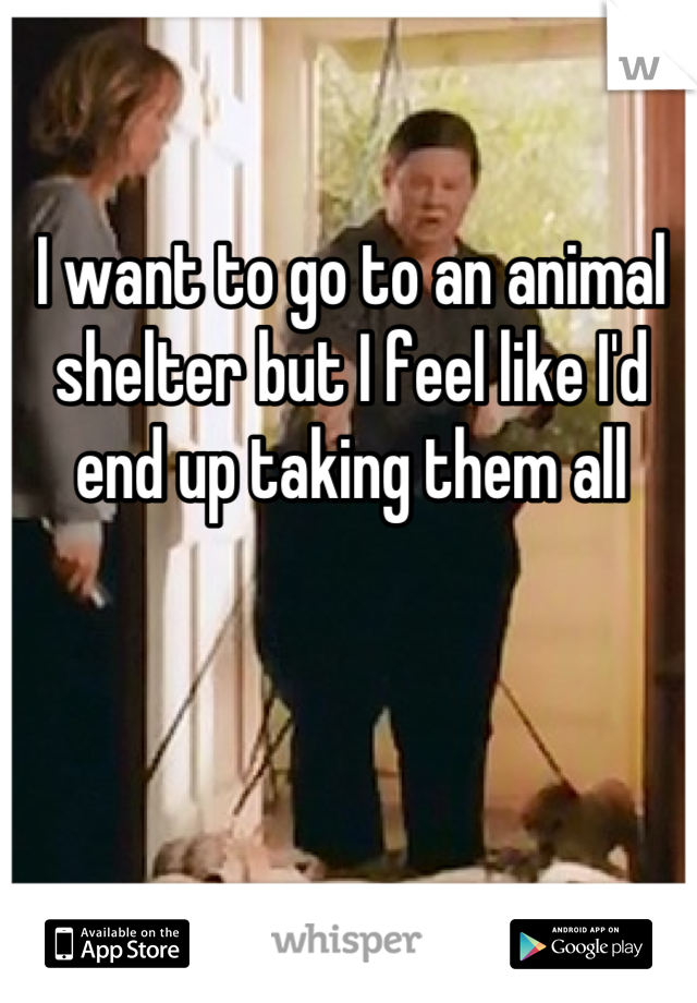 I want to go to an animal shelter but I feel like I'd end up taking them all