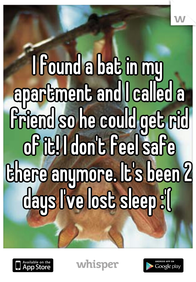 I found a bat in my apartment and I called a friend so he could get rid of it! I don't feel safe there anymore. It's been 2 days I've lost sleep :'( 
