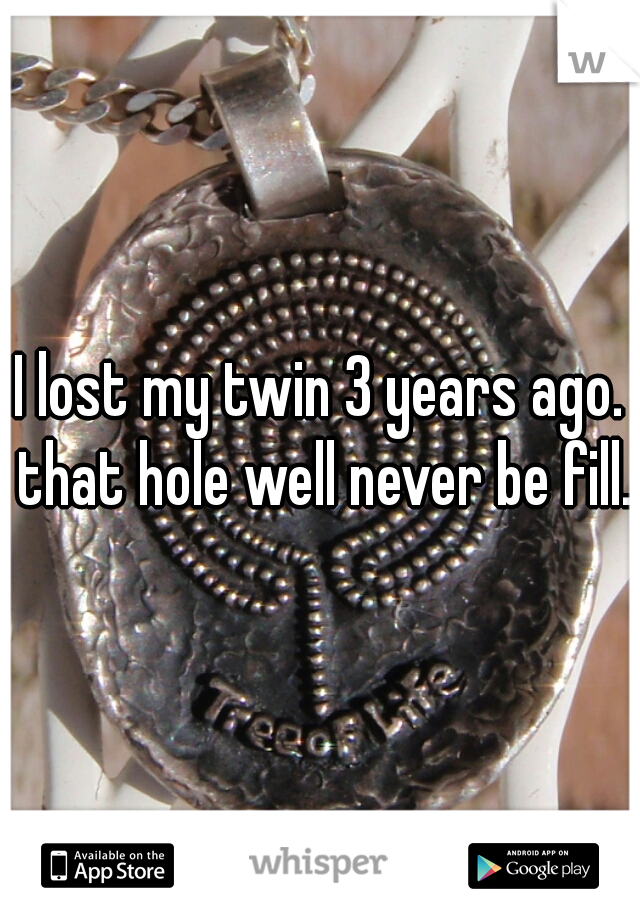 I lost my twin 3 years ago. that hole well never be fill. 