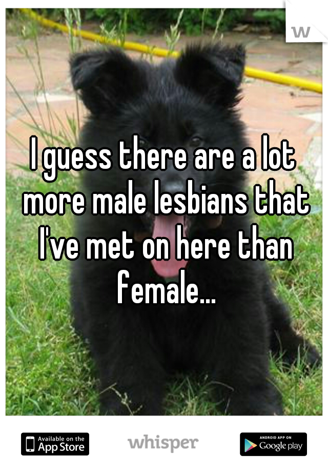 I guess there are a lot more male lesbians that I've met on here than female...