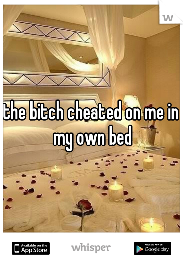 the bitch cheated on me in my own bed