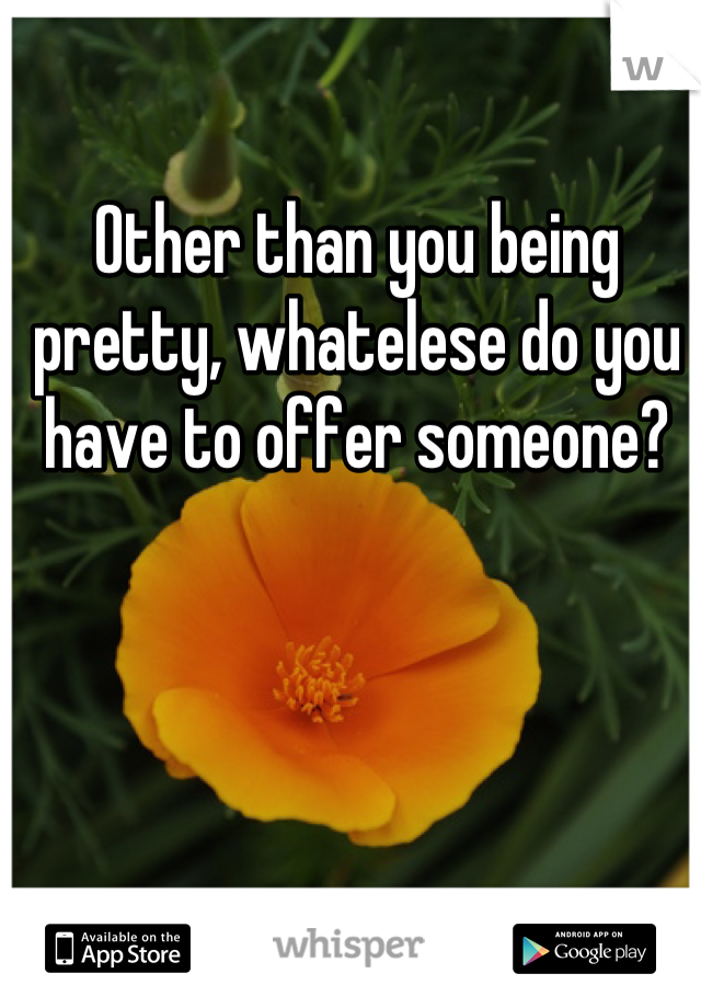 Other than you being pretty, whatelese do you have to offer someone?