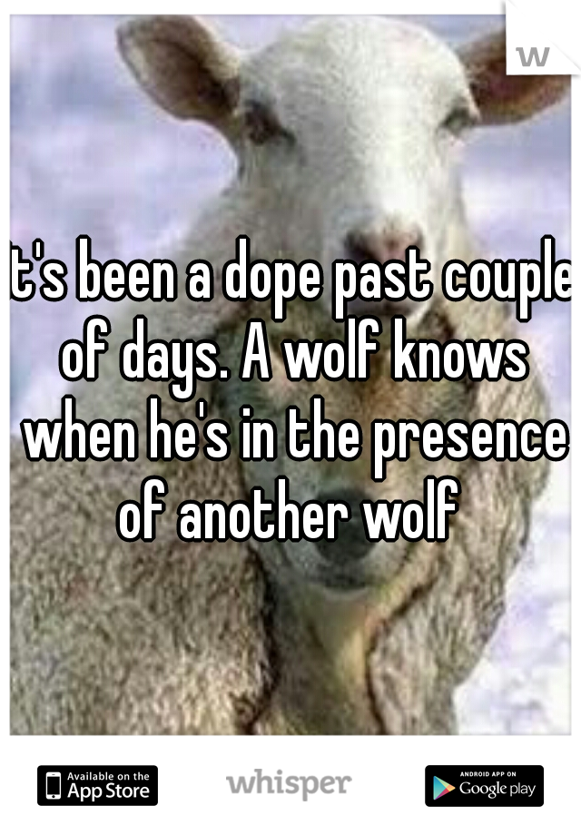It's been a dope past couple of days. A wolf knows when he's in the presence of another wolf 