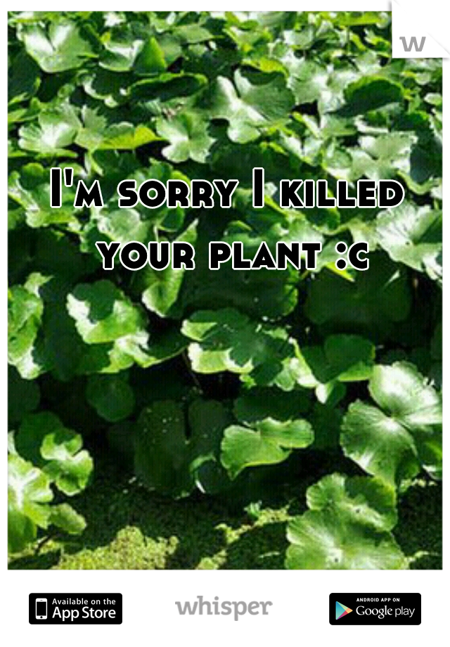 I'm sorry I killed your plant :c