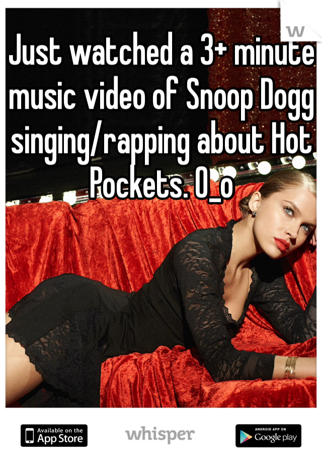 Just watched a 3+ minute music video of Snoop Dogg singing/rapping about Hot Pockets. O_o