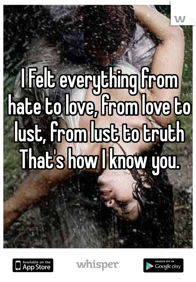 I Felt everything from hate to love, from love to lust, from lust to truth 
That's how I know you. 