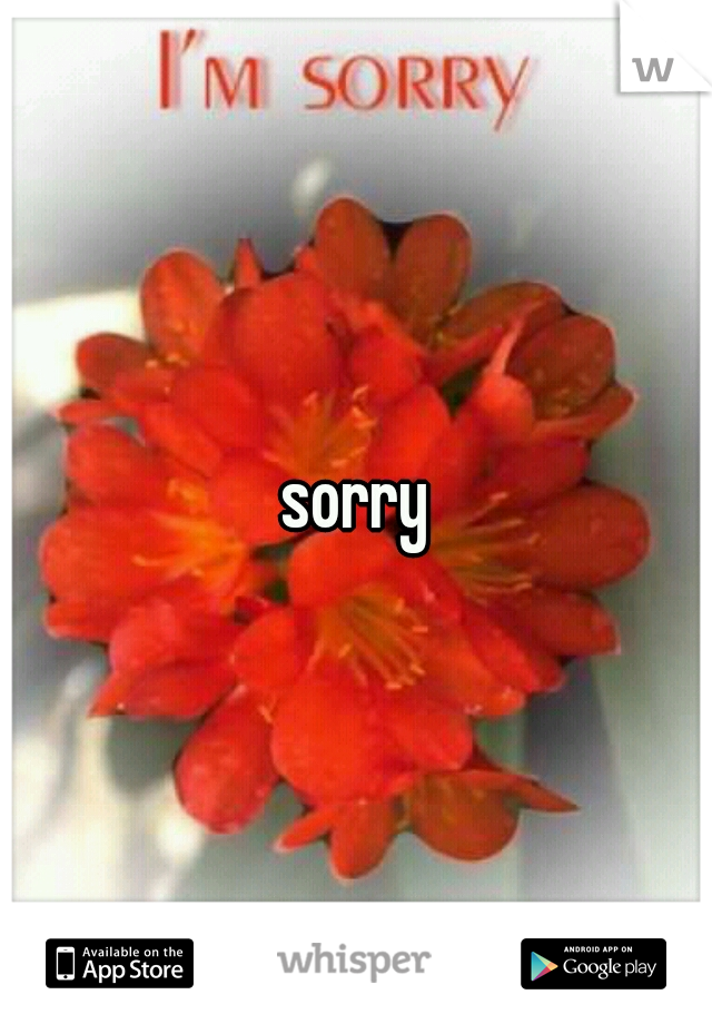 sorry
 