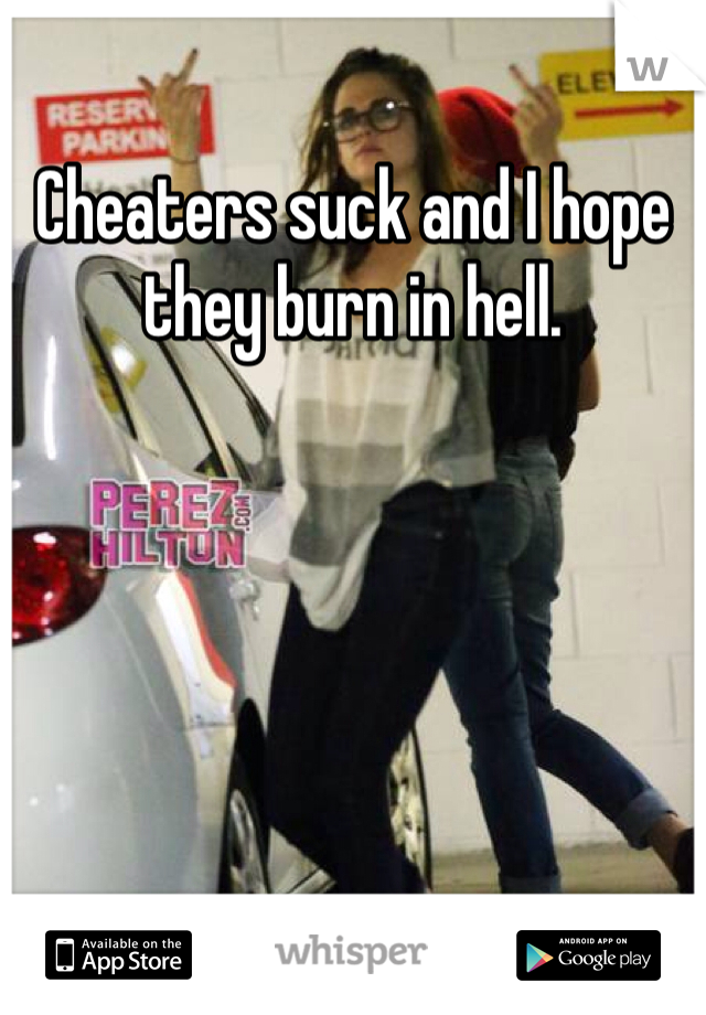 Cheaters suck and I hope they burn in hell. 