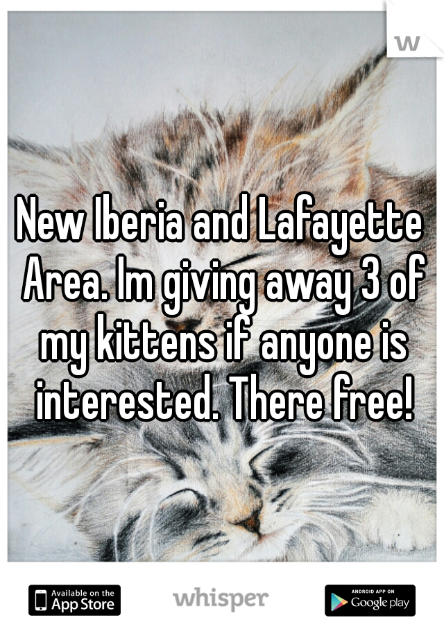 New Iberia and Lafayette Area. Im giving away 3 of my kittens if anyone is interested. There free!