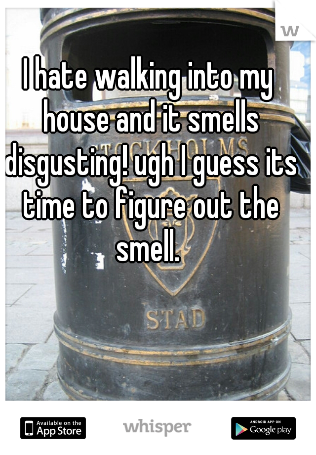 I hate walking into my house and it smells disgusting! ugh I guess its time to figure out the smell. 