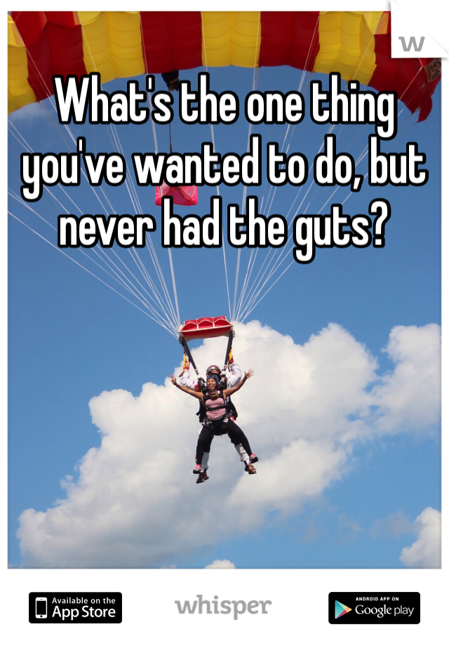 What's the one thing you've wanted to do, but never had the guts?