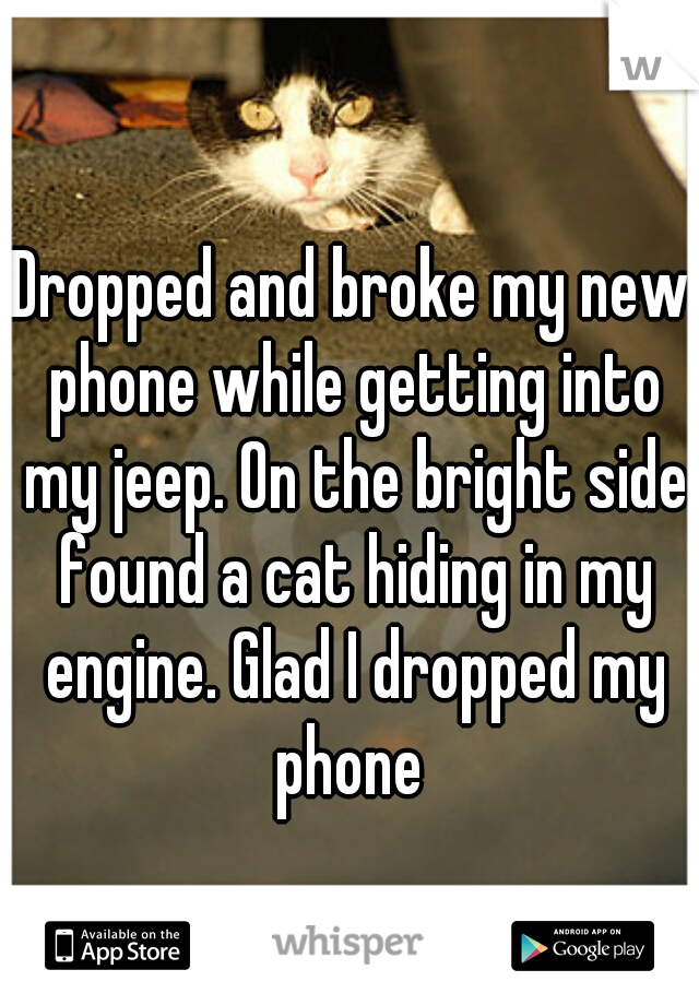Dropped and broke my new phone while getting into my jeep. On the bright side found a cat hiding in my engine. Glad I dropped my phone 