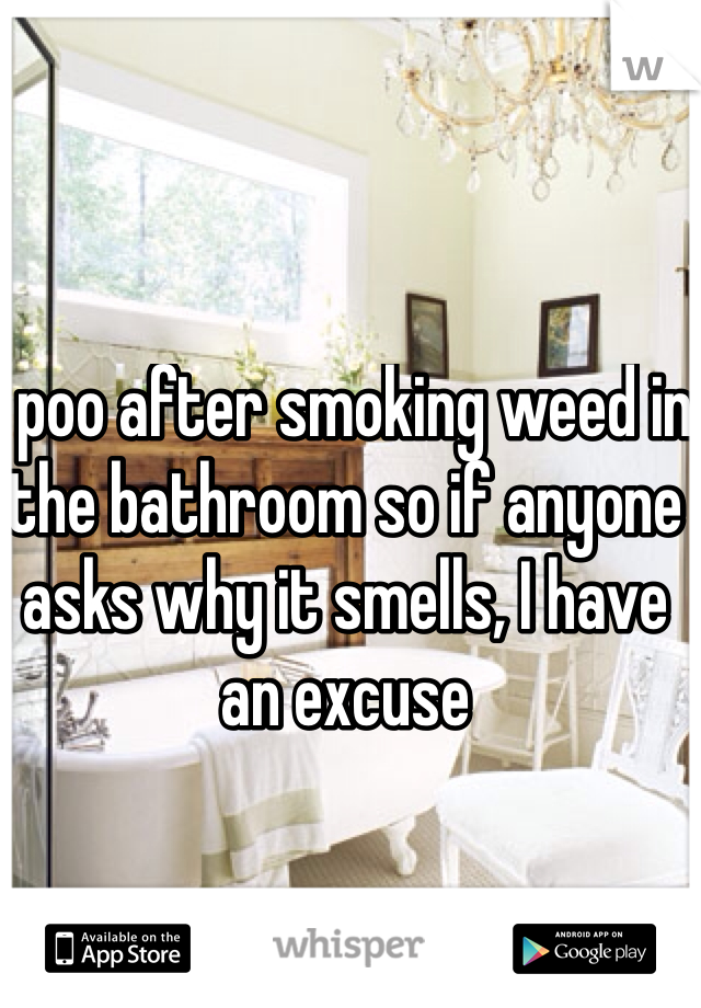 I poo after smoking weed in the bathroom so if anyone asks why it smells, I have an excuse