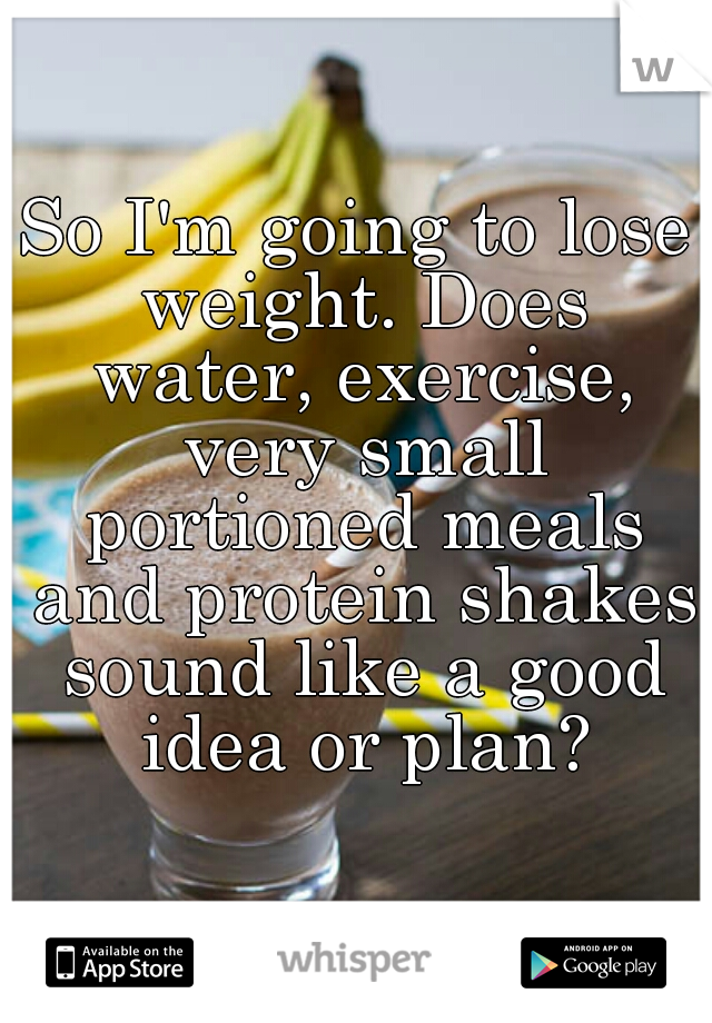 So I'm going to lose weight. Does water, exercise, very small portioned meals and protein shakes sound like a good idea or plan?