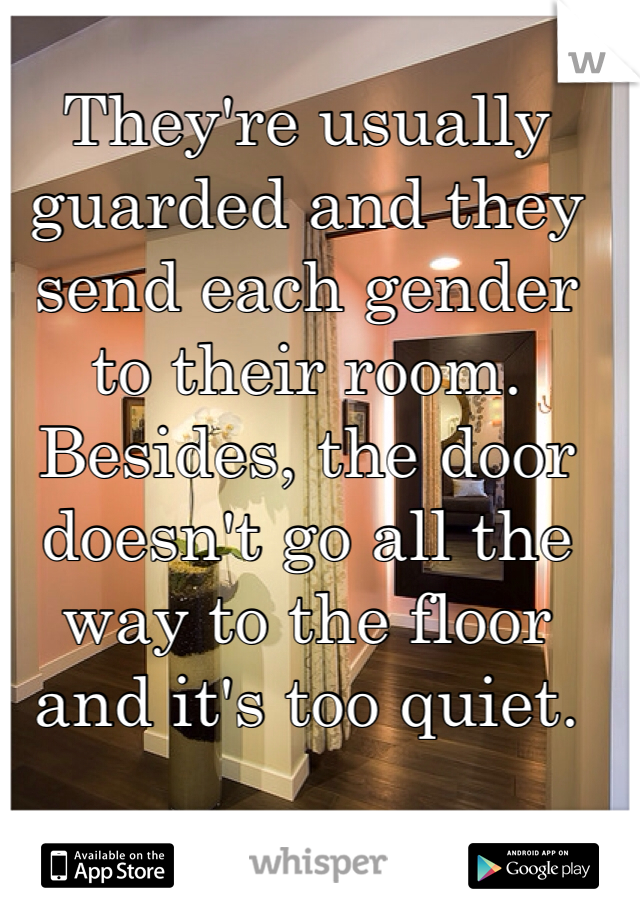 They're usually guarded and they send each gender to their room.
Besides, the door doesn't go all the way to the floor and it's too quiet.