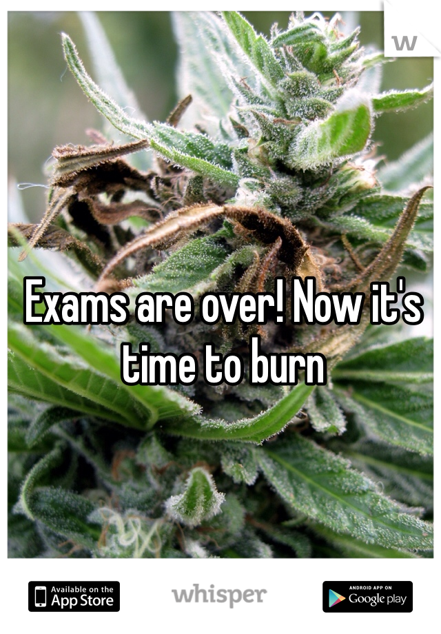 Exams are over! Now it's time to burn
