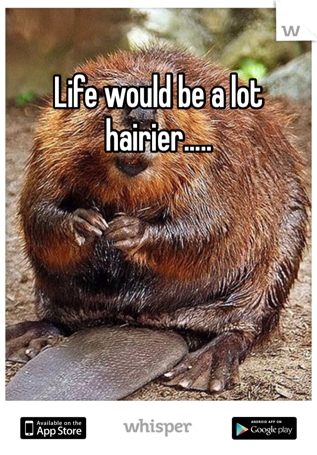 Life would be a lot hairier.....
