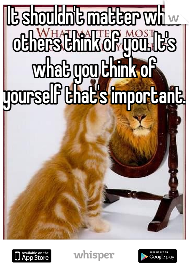 It shouldn't matter what others think of you. It's what you think of yourself that's important.