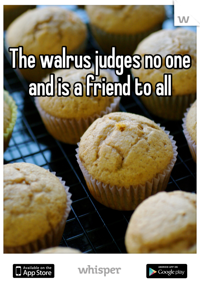 The walrus judges no one and is a friend to all