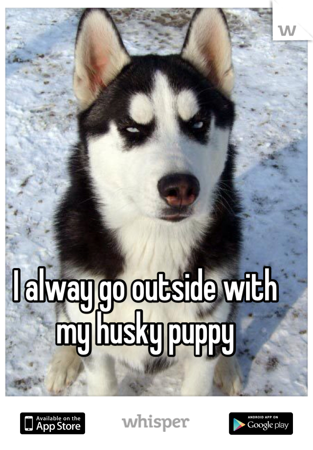 I alway go outside with my husky puppy