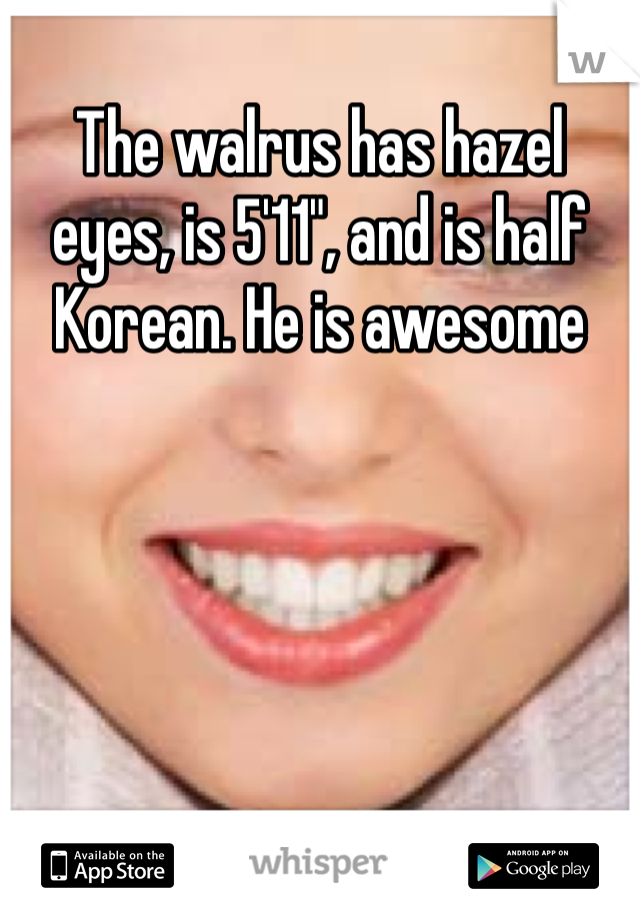 The walrus has hazel eyes, is 5'11", and is half Korean. He is awesome